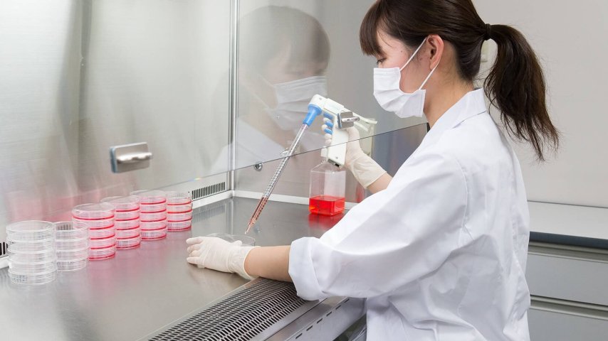 Advancing regenerative medicine: StemFit™ helps advance research into safe and reliable therapies